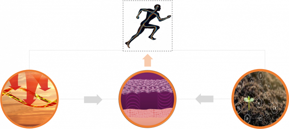 recover technology introduction-q