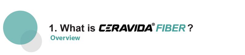 ceravida funtion-64